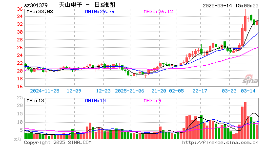 天山电子