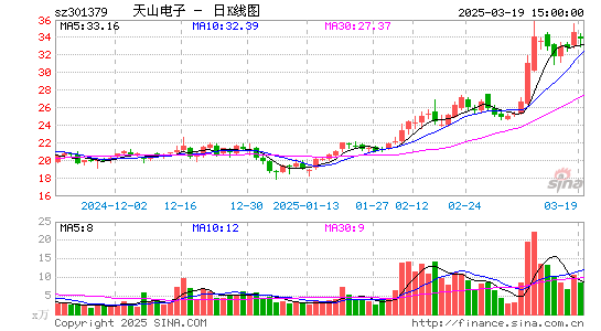 天山电子