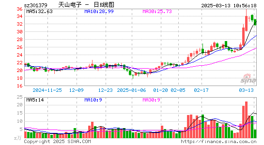 天山电子