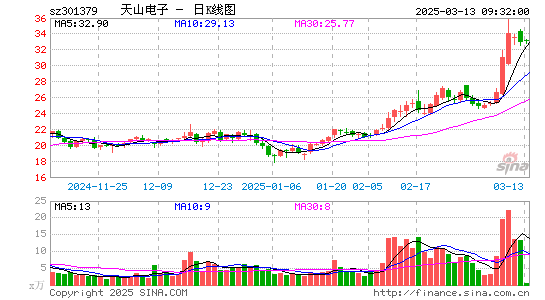 天山电子