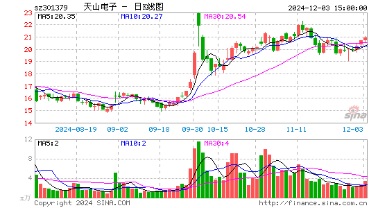 天山电子