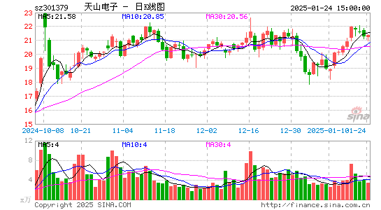 天山电子