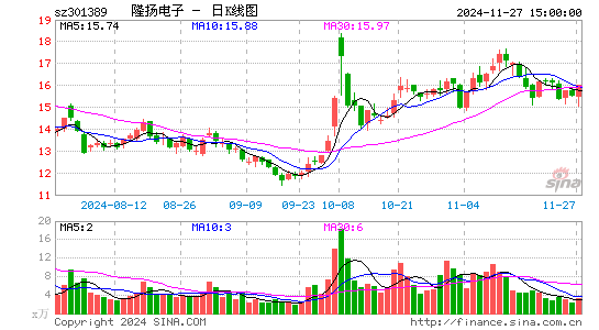 隆扬电子