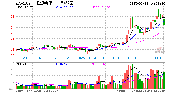 隆扬电子