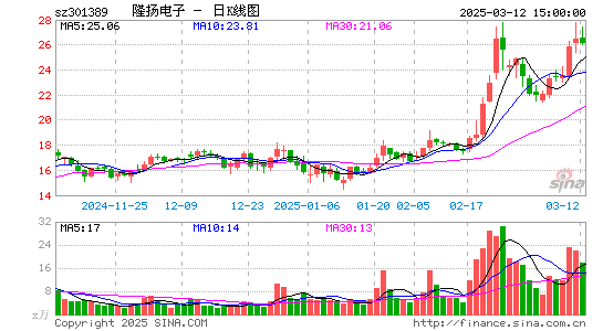 隆扬电子