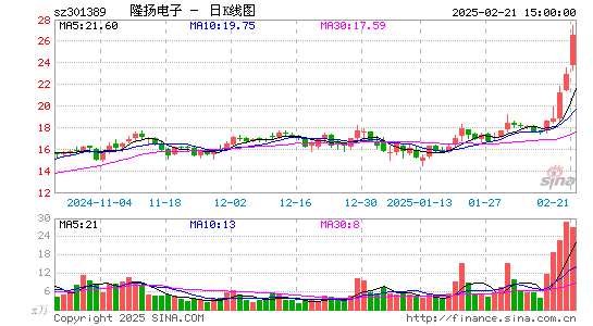 隆扬电子