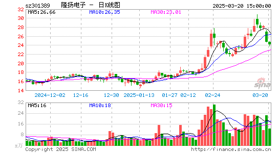 隆扬电子