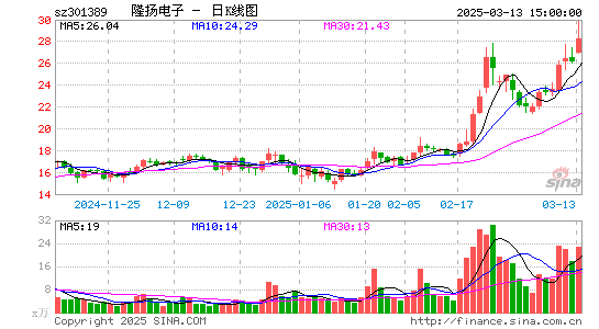 隆扬电子