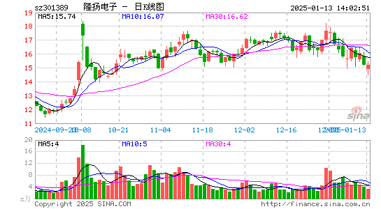 隆扬电子