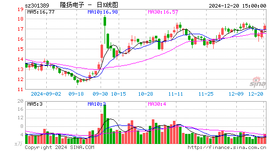 隆扬电子