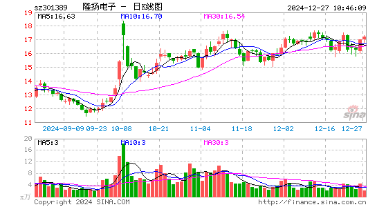 隆扬电子