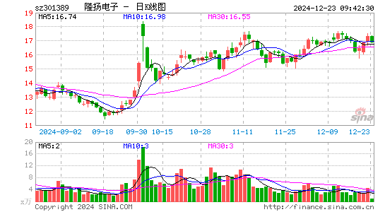 隆扬电子