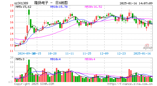 隆扬电子