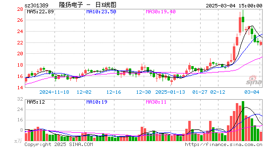 隆扬电子