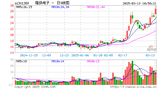 隆扬电子