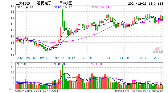 隆扬电子