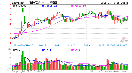 隆扬电子