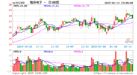 隆扬电子