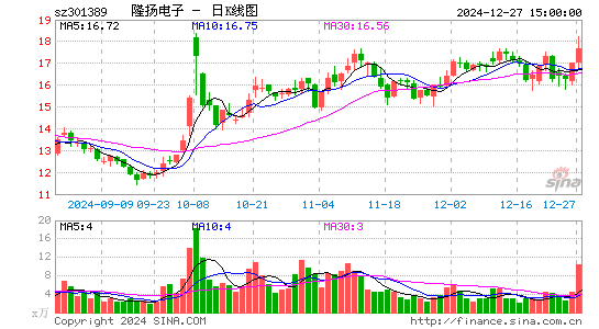 隆扬电子