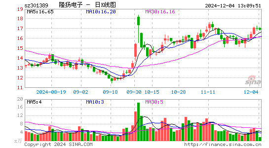 隆扬电子