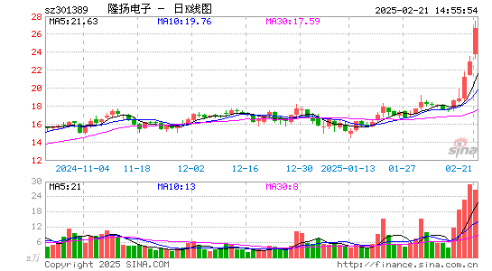 隆扬电子