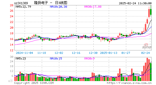 隆扬电子