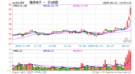 隆扬电子