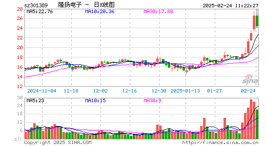 隆扬电子