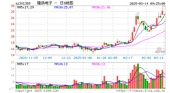 隆扬电子