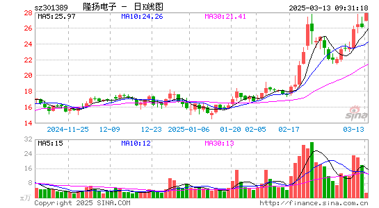 隆扬电子