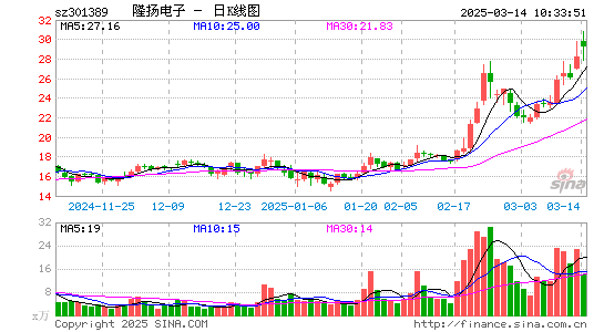 隆扬电子