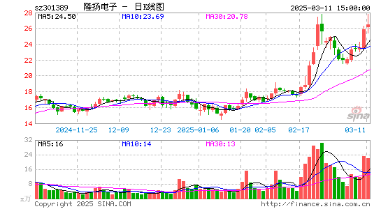 隆扬电子