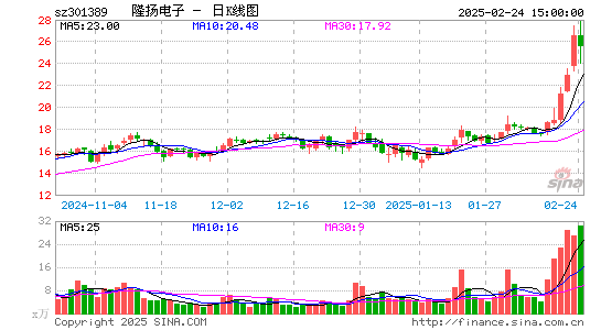 隆扬电子