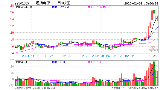 隆扬电子