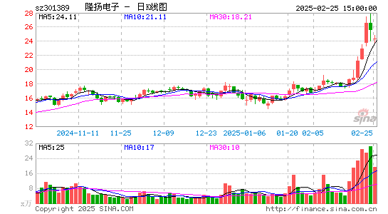 隆扬电子