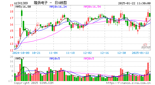 隆扬电子