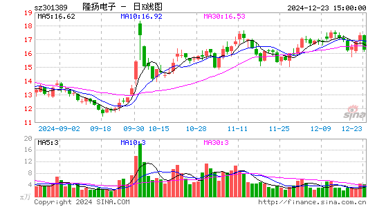 隆扬电子