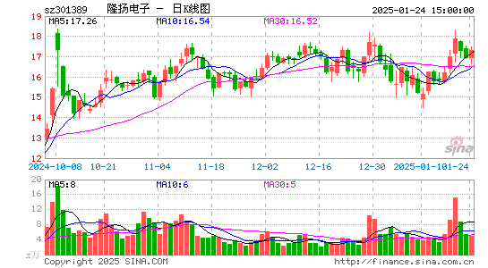 隆扬电子