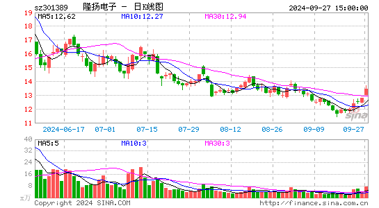 隆扬电子