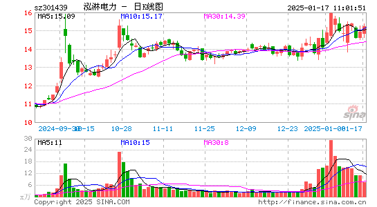 泓淋电力