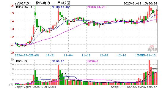 泓淋电力