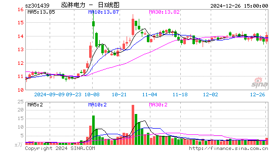 泓淋电力