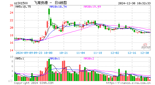 飞南资源