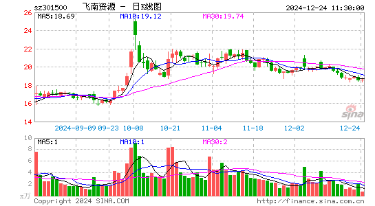 飞南资源