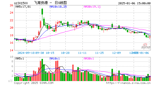 飞南资源