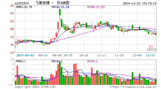 飞南资源