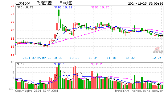 飞南资源