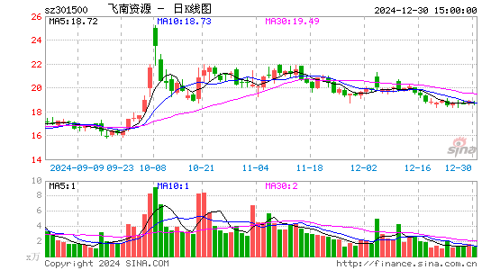 飞南资源