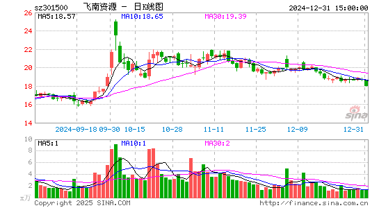 飞南资源