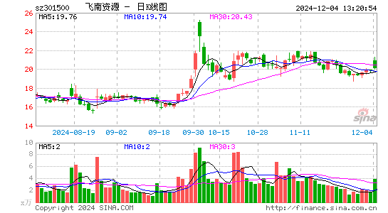 飞南资源